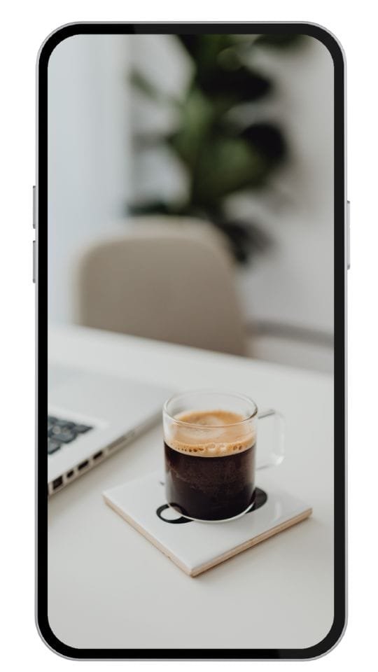 nieuwsbrief sissy hamilton webdesign