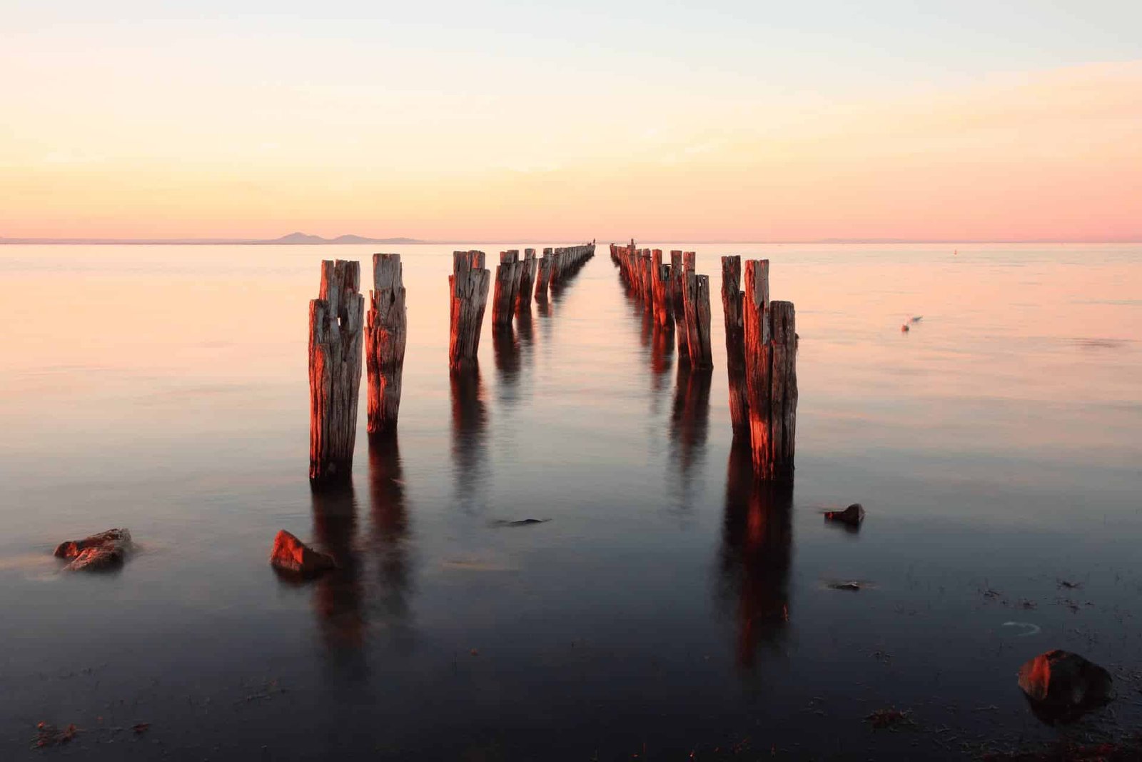 Dankbaarheid | sissy hamilton Dankbaarheid | sissy hamilton