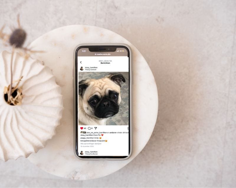 Social Media Beheer voor Groeiende Ondernemers Sissy Hamilton