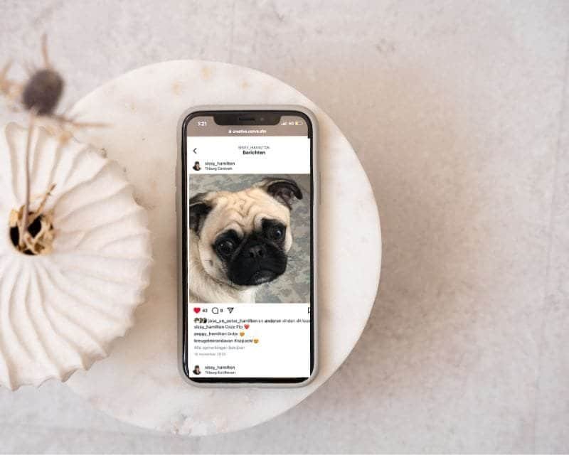 Social Media Beheer voor Groeiende Ondernemers Sissy Hamilton