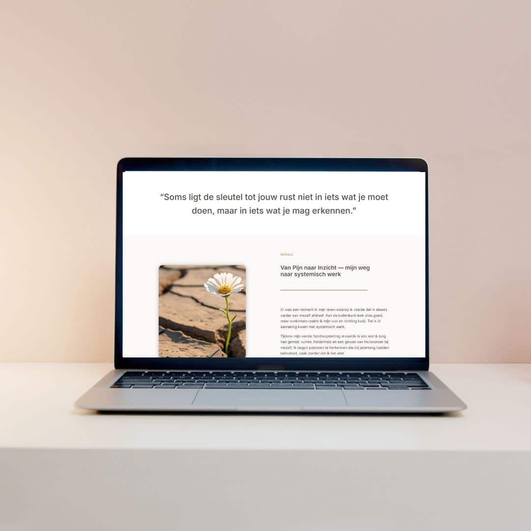 Middelgrote website laten maken, tot 10 pagina's (meest gekozen)